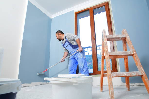 Best Emergency Mold Remediation  in Capac, MI