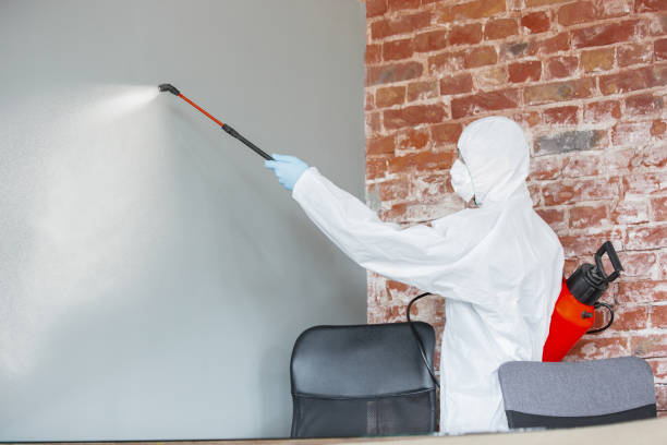 Best Indoor Air Quality Assessment  in Capac, MI