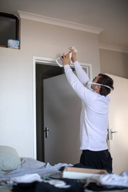Best Air Quality Testing for Mold Spores  in Capac, MI