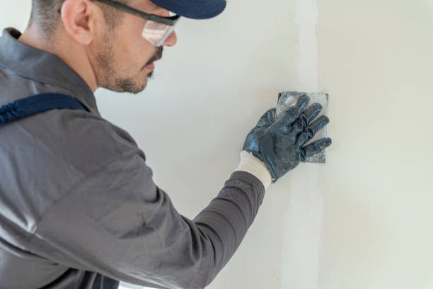 Best Airborne Mold Testing  in Capac, MI