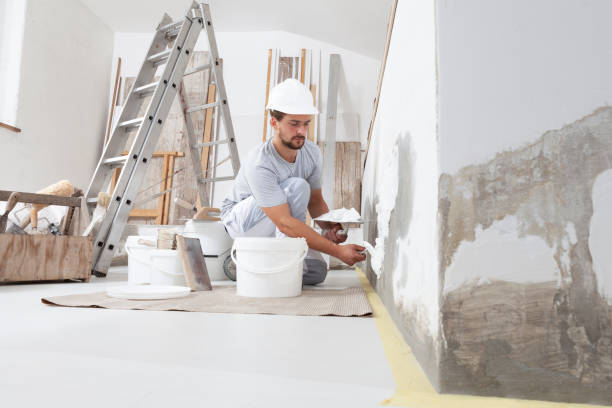 Best Mold Removal for HVAC Installations  in Capac, MI