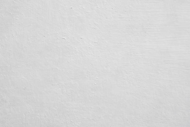  Capac, MI Mold Removal Pros