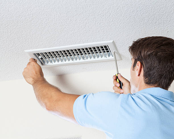 Best Black Mold Removal  in Capac, MI