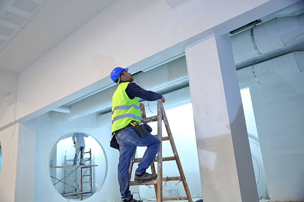 Best Mold Damage Restoration  in Capac, MI