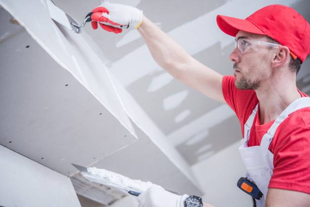 Best Dehumidification Services  in Capac, MI